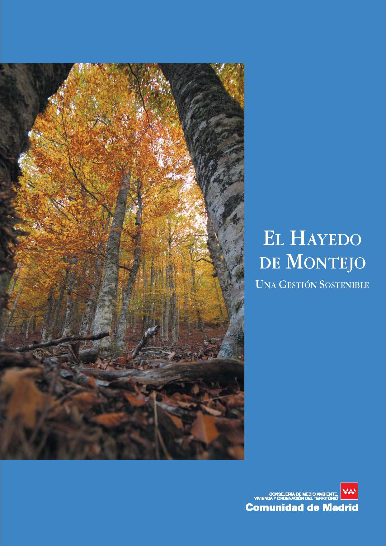 Portada de Hayedo de Montejo, El: una gestión sostenible