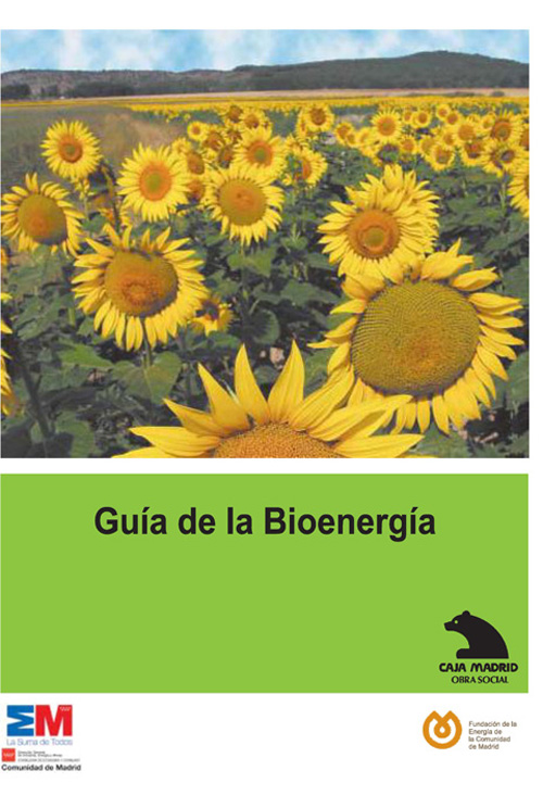 Portada de Guía de la bioenergía 