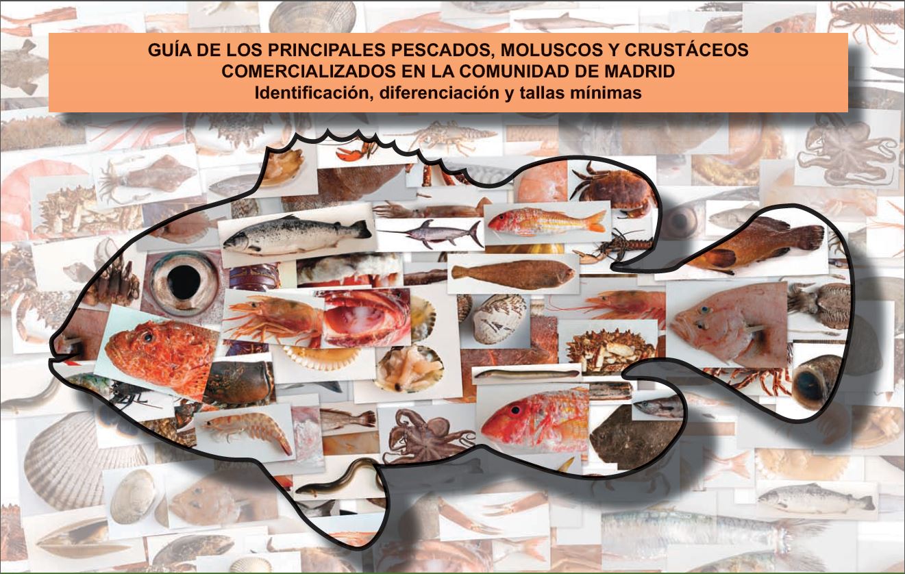 Portada de Guía de los principales pescados, moluscos y crustáceos comercializados en la Comunidad de Madrid. Identificación, diferenciación y tallas mínimas