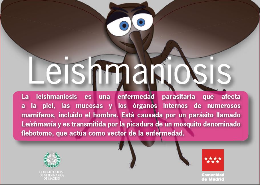 Portada de Leishmaniosis (5ª Edición)
