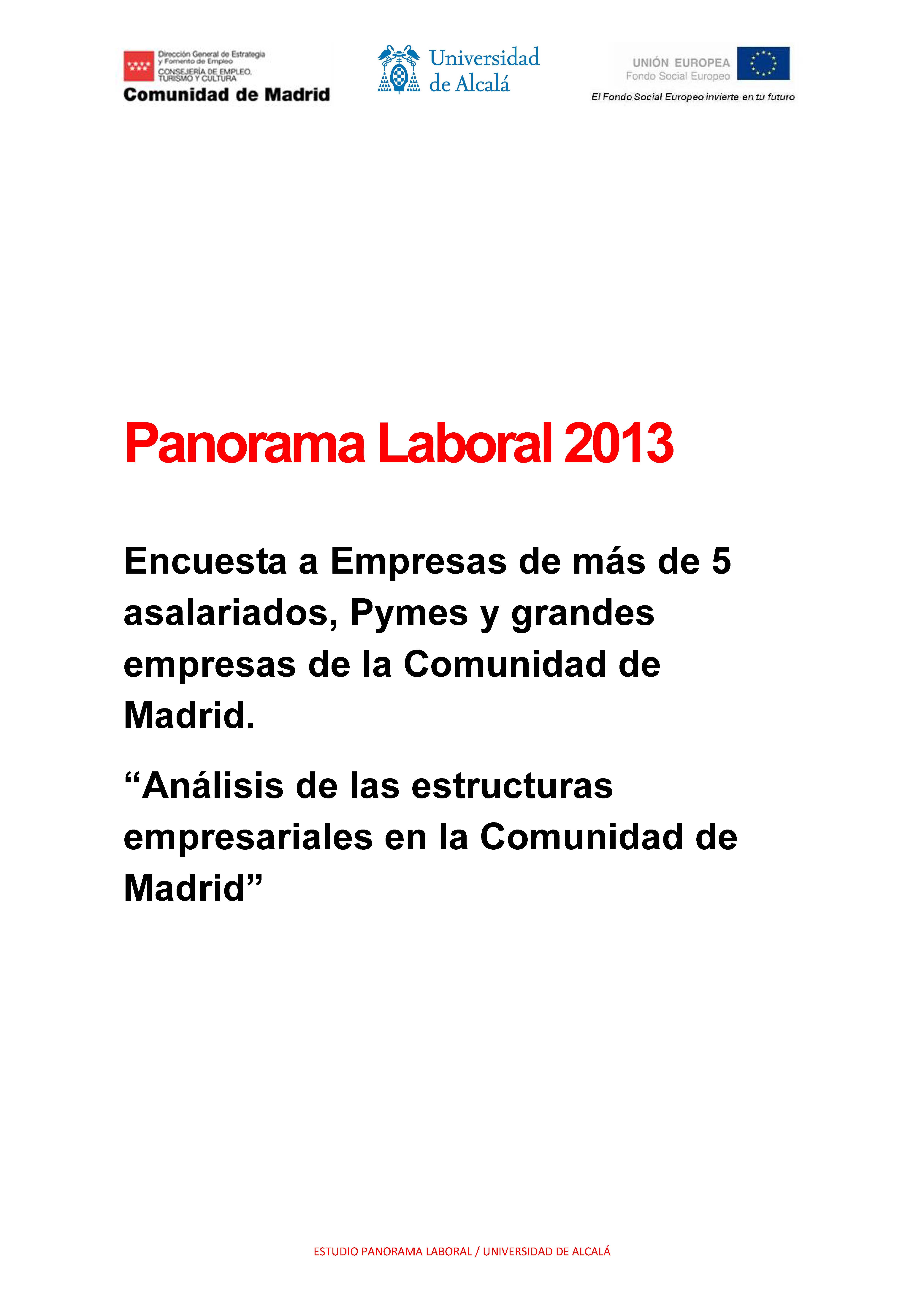 Portada de Panorama Laboral 2013 "Encuesta a Empresas de más de 5 asalariados, Pymes y grandes empresas de la Comunidad de Madrid. Análisis de las estructuras empresariales en la Comunidad de Madrid".
