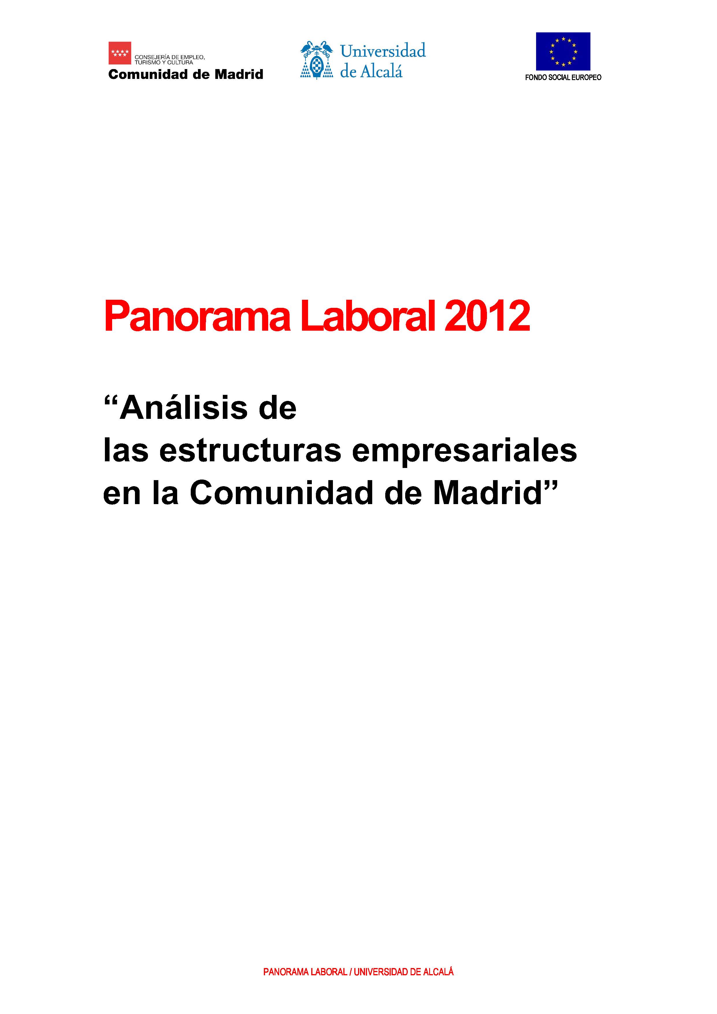 Portada de Panorama Laboral 2012. Análisis de las estructuras empresariales en la Comunidad de Madrid