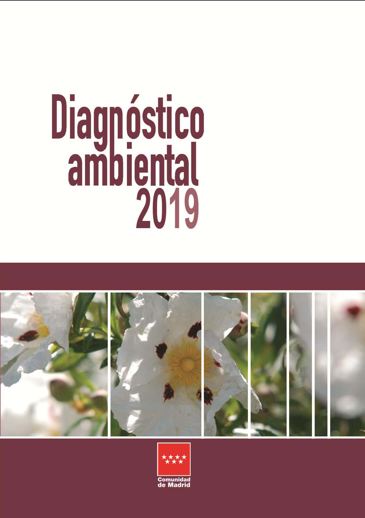 Portada de Diagnóstico ambiental 2019