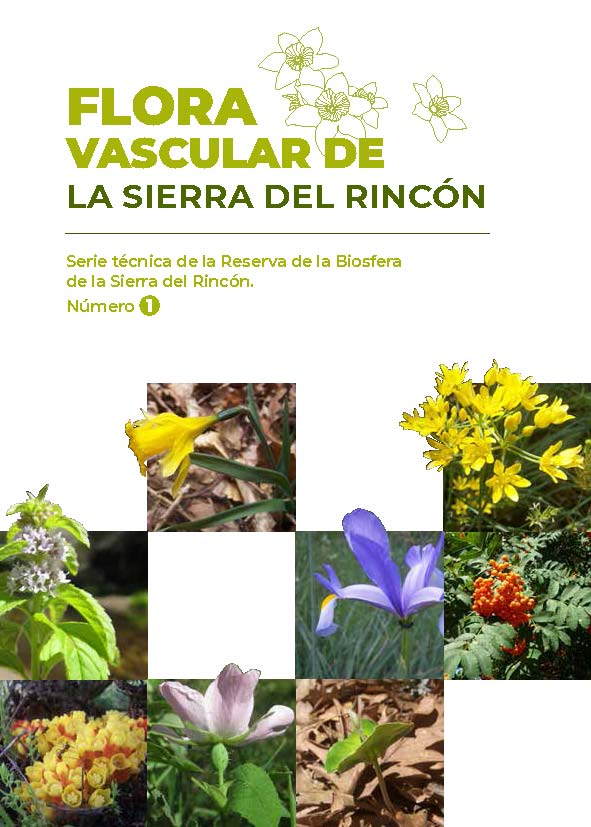 Portada de Flora Vascular de la Sierra del Rincón