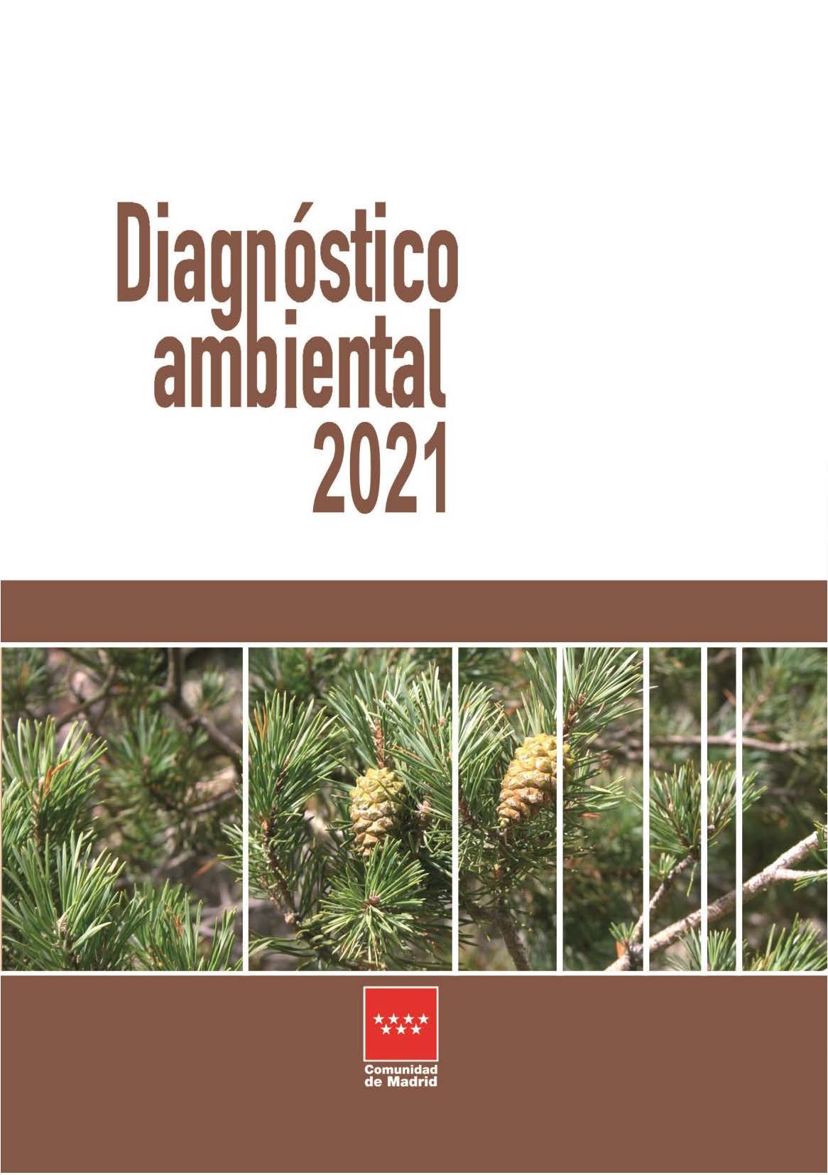 Portada de Diagnóstico ambiental 2021