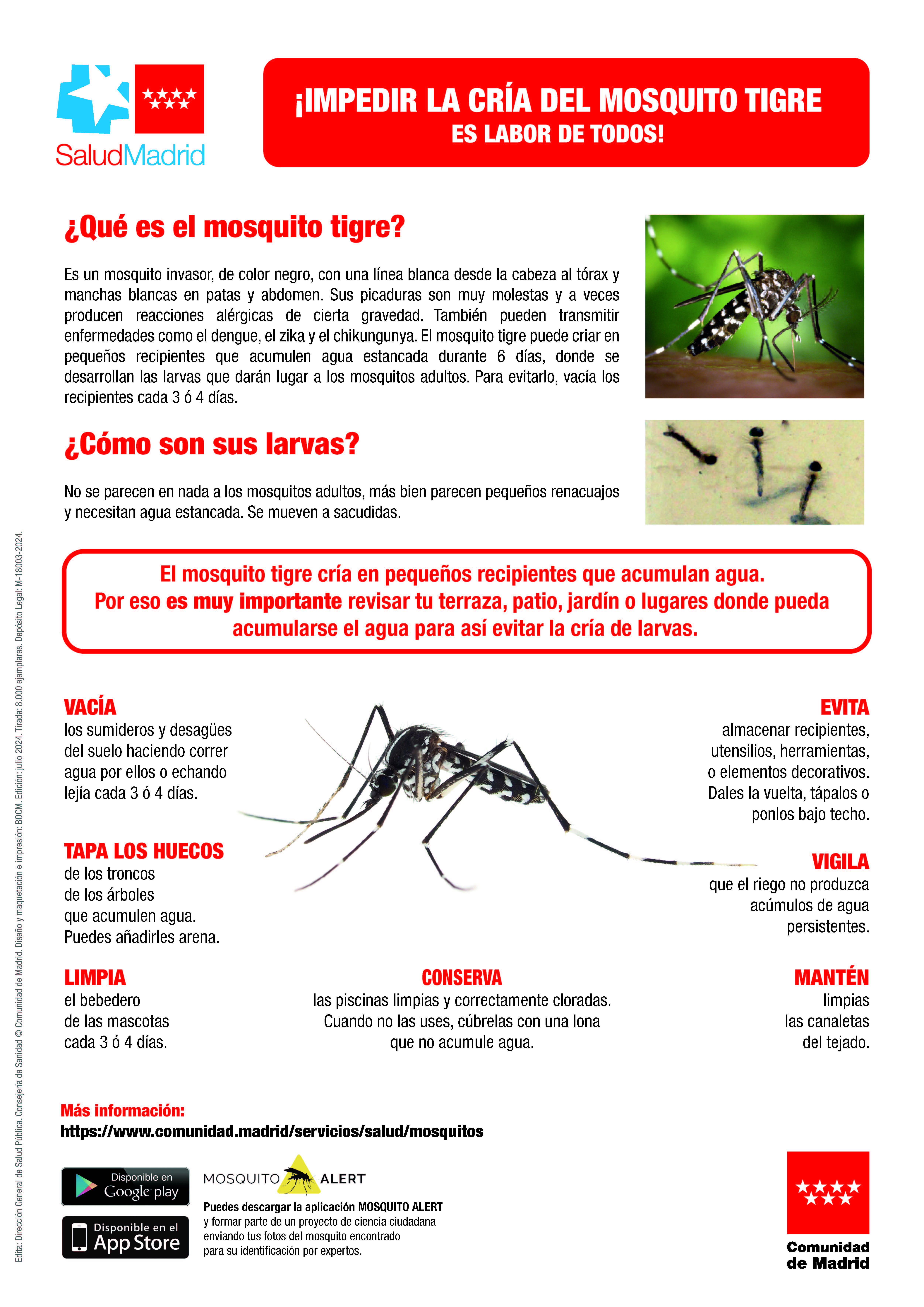 Portada de Impedir la cría del mosquito tigre es labor de todos
