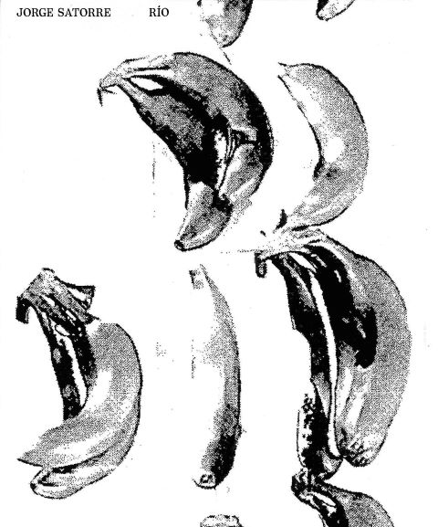 Portada de RÍA