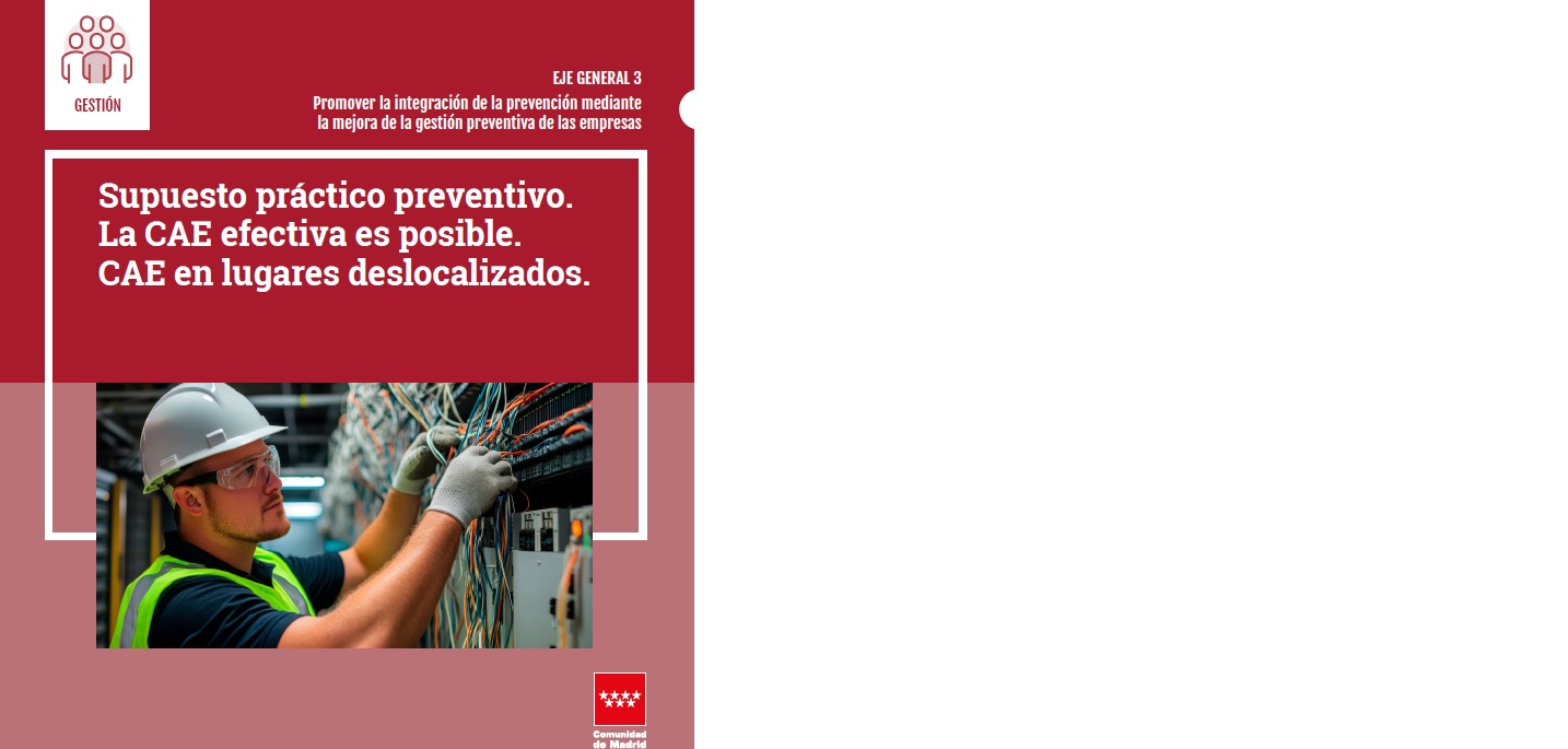 Portada de La CAE efectiva es posible. CAE en lugares deslocalizados