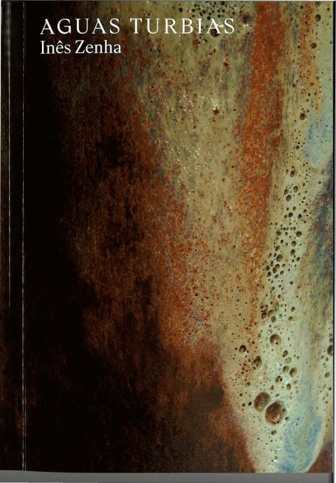 Portada de Aguas Turbias