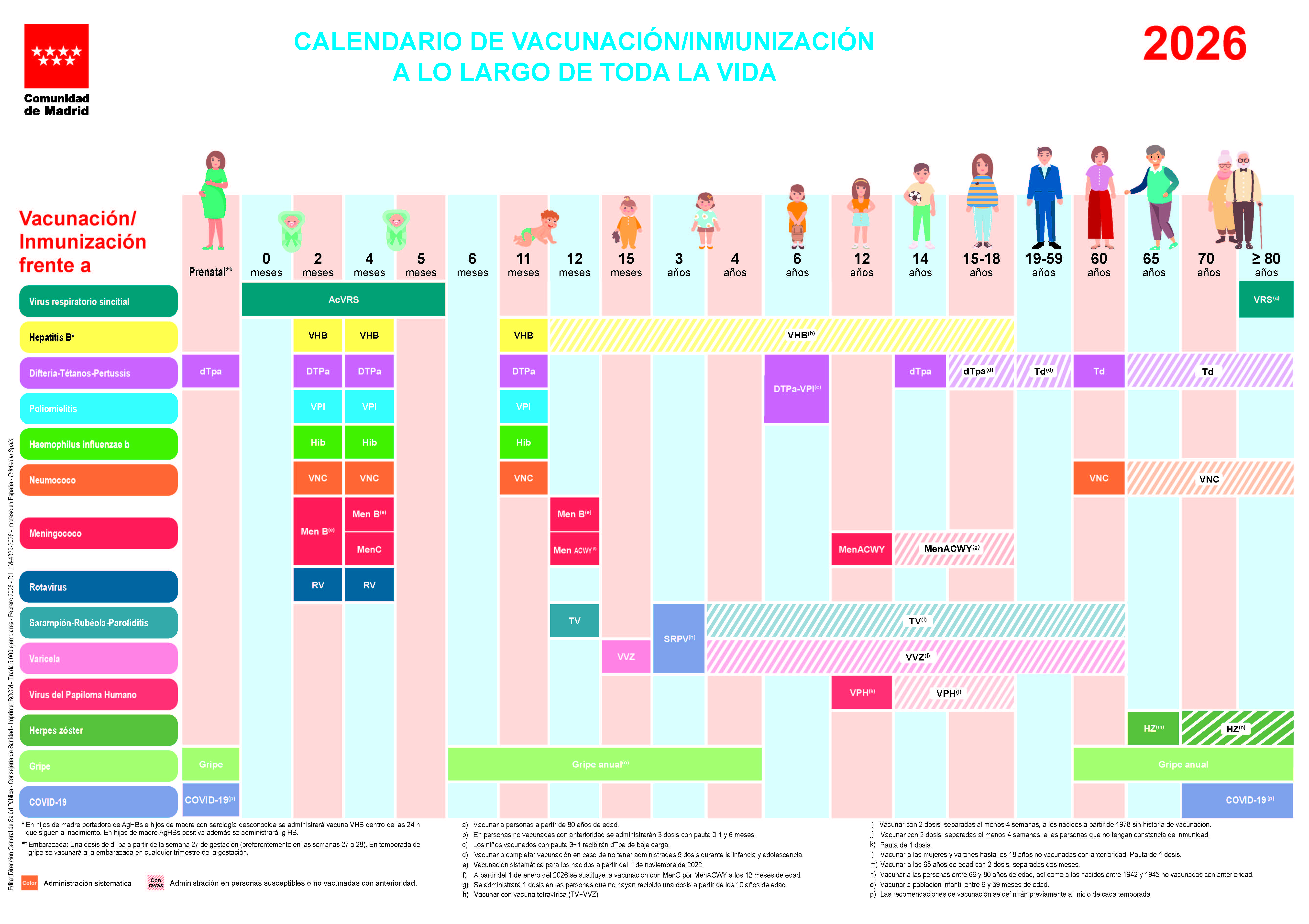 Portada de Calendario de vacunación / inmunización a lo largo de toda la vida. Año 2026 (Cartel)