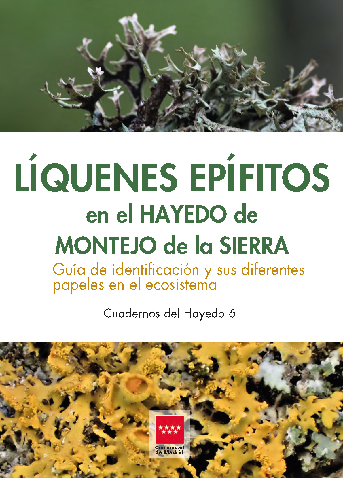 Portada de Líquenes epífitos en el Hayedo de Montejo de la Sierra. Guía de identificación y sus diferentes papeles en el ecosistema