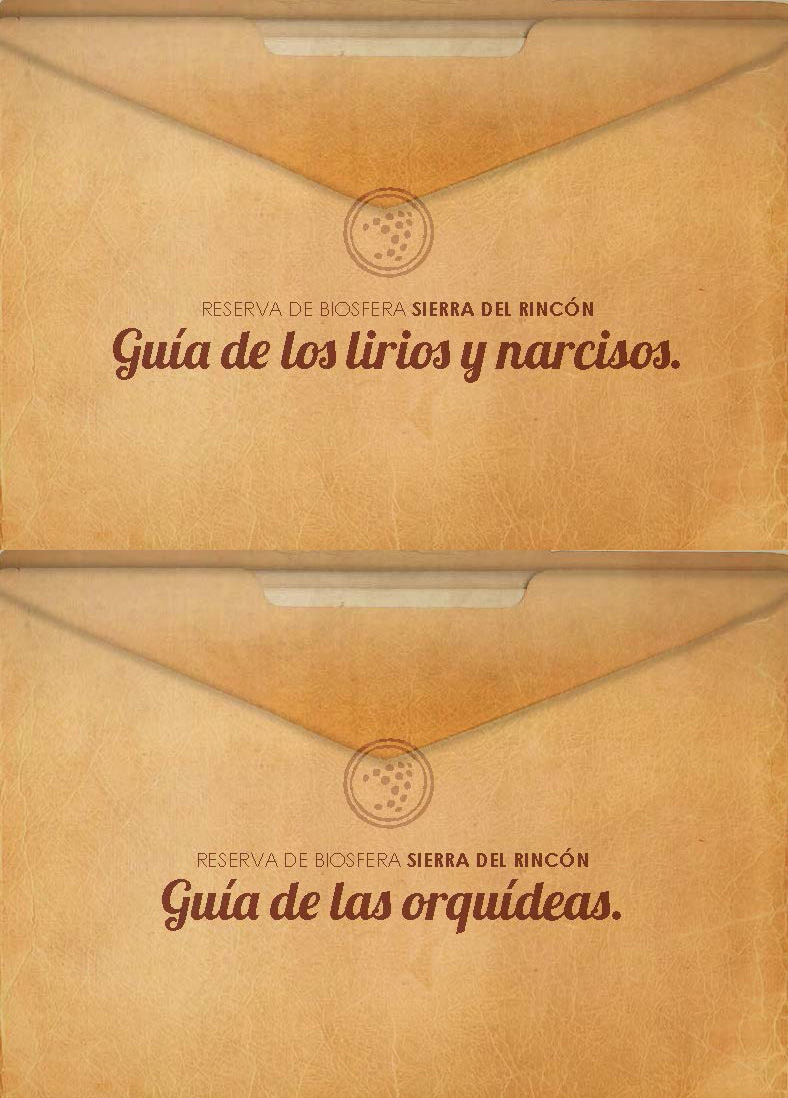 Portada de Guía de los lirios y narcisos. Guía de las orquídeas