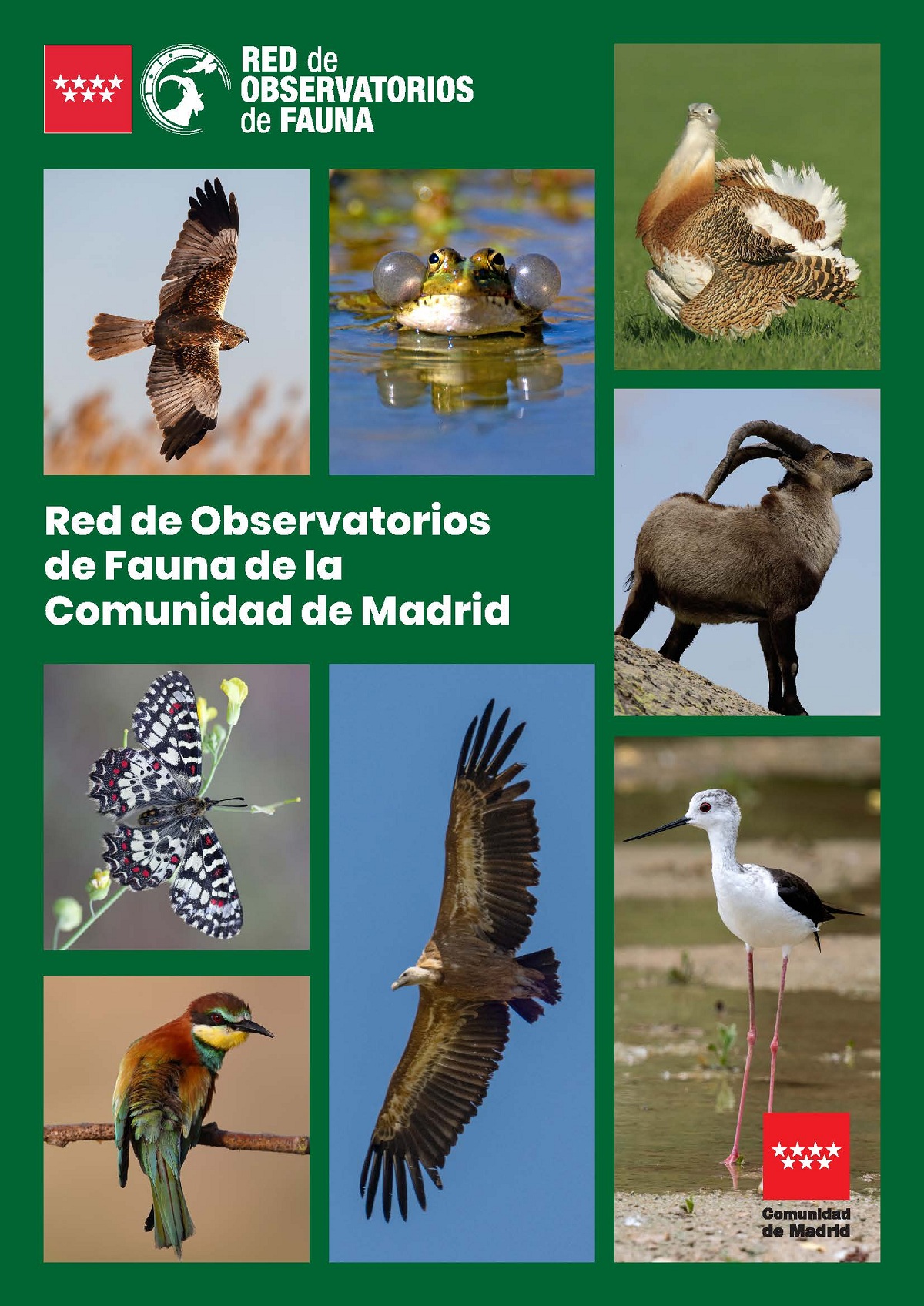 Portada de la publicación Red de Observatorios de Fauna de la Comunidad de Madrid