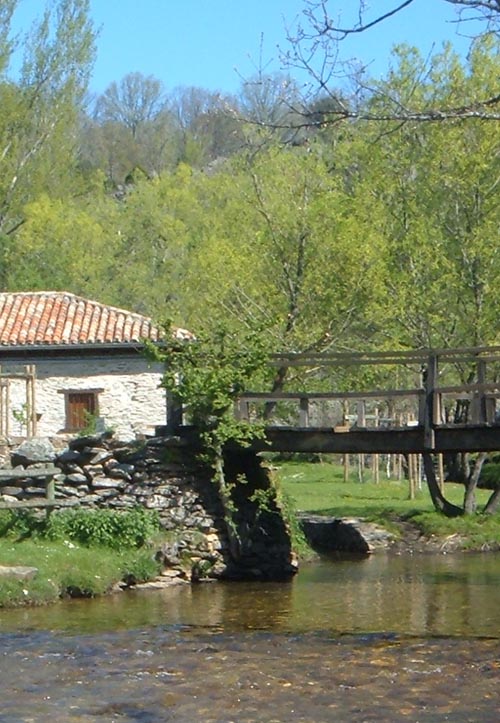 Mills in the green countryside