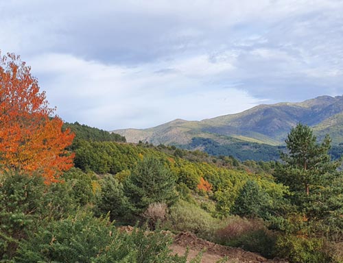 Virgin mountain sceneries