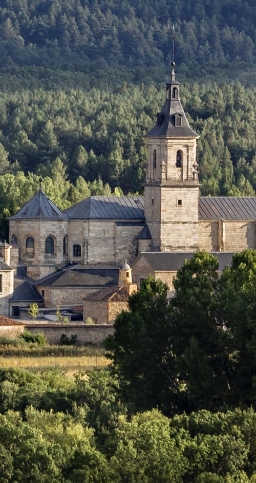 A monastery lost in the forest