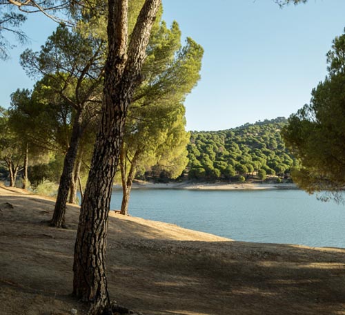 Summer scenes by the shore